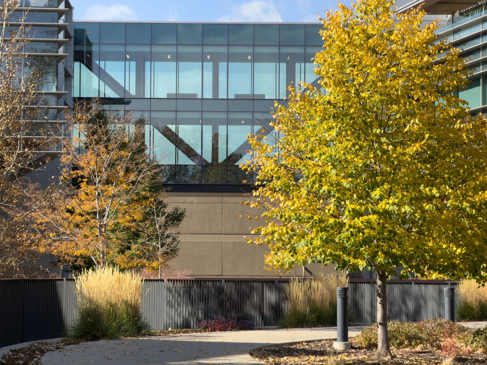 Modern office buildings connected by a glass skywalk